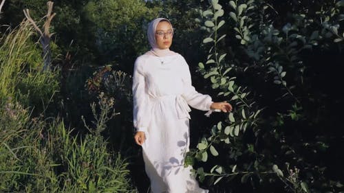 有关户外, 树木, 树叶的免费素材视频