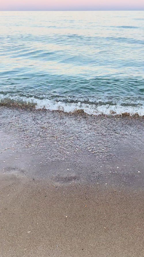 有关垂直视频, 天性, 岸边的免费素材视频