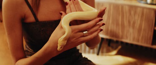 有关python, 女人, 室内的免费素材视频