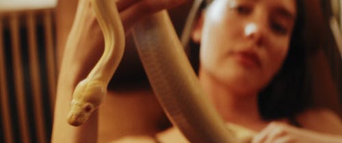 有关python, 坐, 女人的免费素材视频