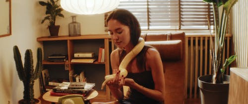 有关python, 坐, 女人的免费素材视频