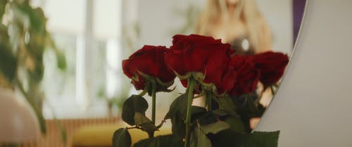 有关反射, 女人, 玫瑰的免费素材视频