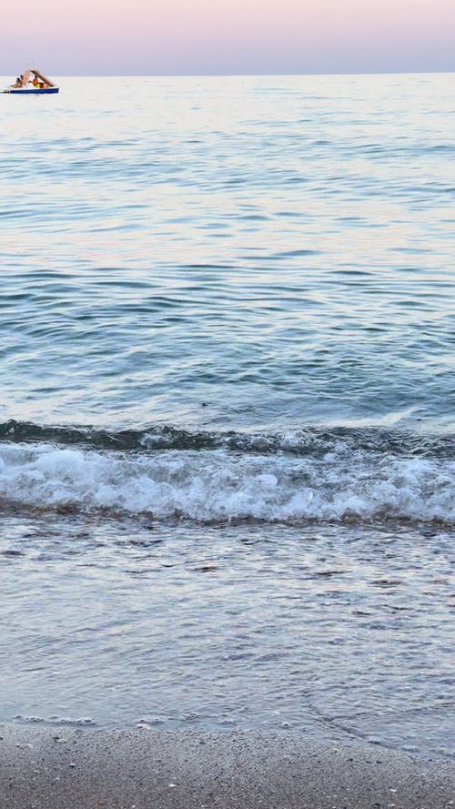 有关垂直视频, 天性, 岸边的免费素材视频