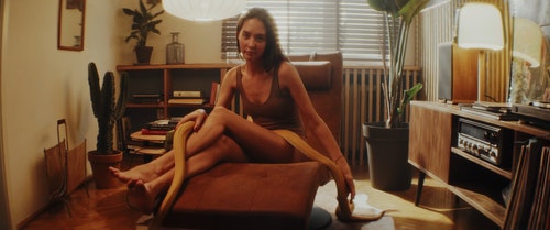 有关休息,休息椅,动物的免费素材视频