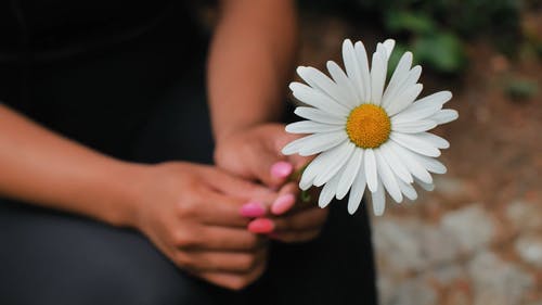 有关手, 握住, 植物群的免费素材视频
