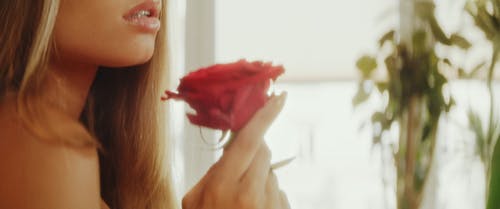 有关女人, 握住, 植物群的免费素材视频