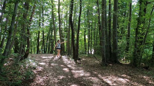 有关天性, 女人, 森林的免费素材视频