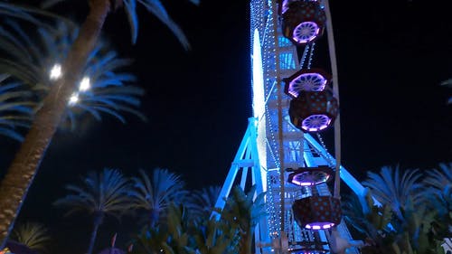有关摩天轮, 晚上的时间, 椰子树的免费素材视频