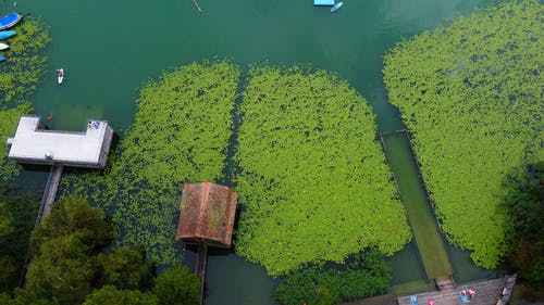 有关4k视频, 天性, 房子的免费素材视频