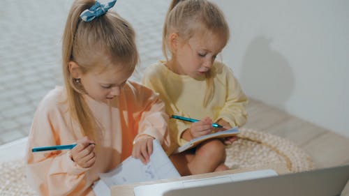 双胞胎在网上课堂上在笔记本上写作 · 免费素材视频