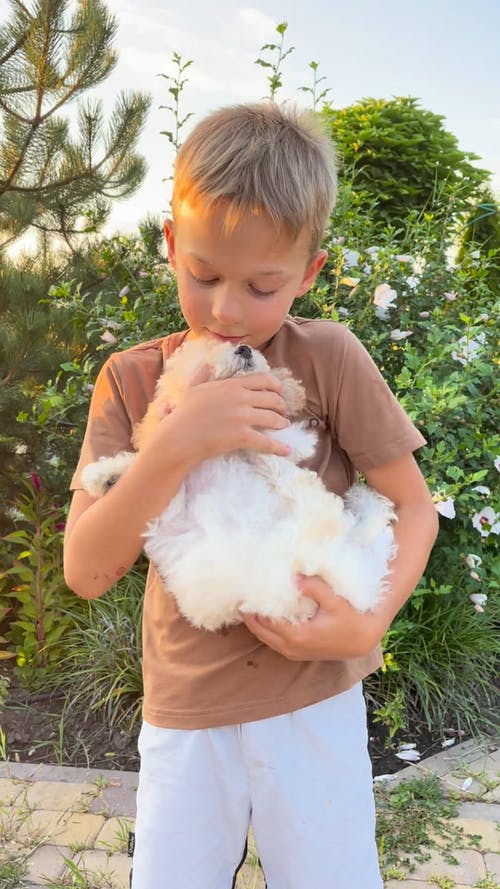 有关垂直视频, 宠物, 小狗的免费素材视频