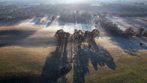 有关冬季, 天性, 有雾的景观的免费素材视频