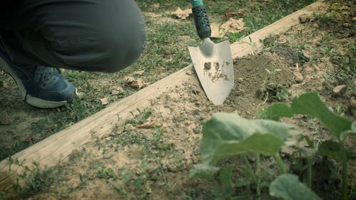 有关修剪花草, 土, 挖掘的免费素材视频