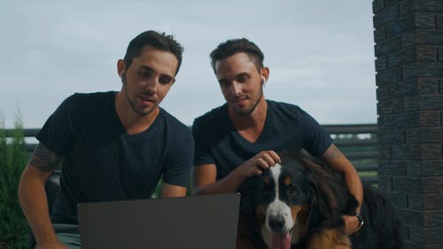 有关孪生子, 户外, 抚摸的免费素材视频