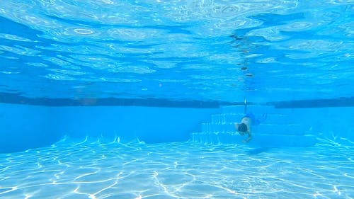 有关年轻, 水下, 游泳的免费素材视频