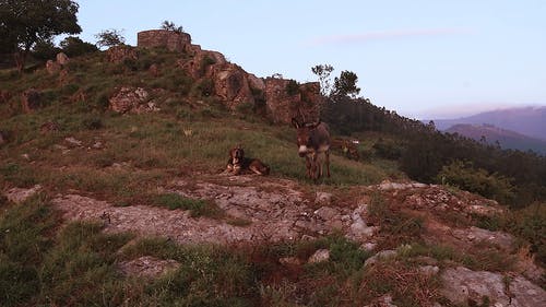 有关山丘, 岩石, 岩石的的免费素材视频