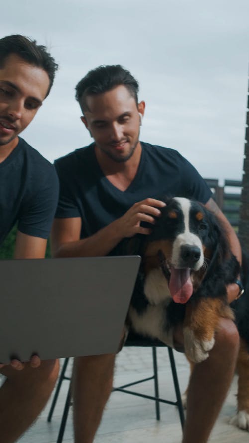 有关3C用品, 互联网, 兄弟的免费素材视频