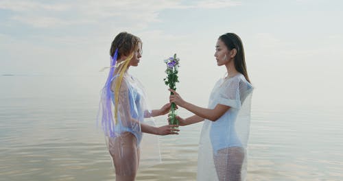 有关回收, 塑胶, 女性的免费素材视频