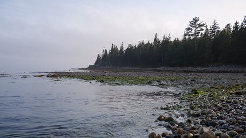 有关天性, 岩石海岸, 岬角的免费素材视频