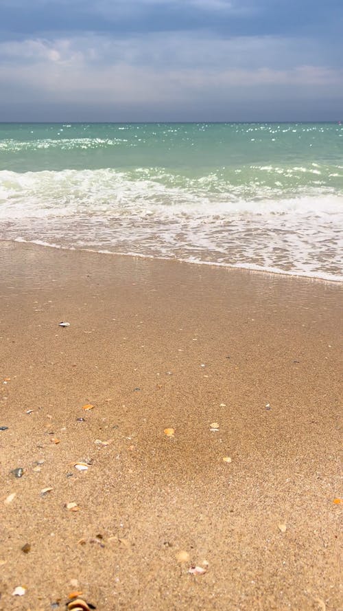 有关垂直视频, 天性, 岸边的免费素材视频