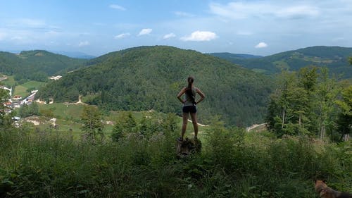 有关冒险家, 冒险, 后视图的免费素材视频