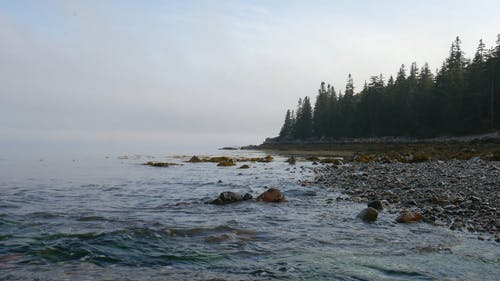 有关天性, 岩石海岸, 岬角的免费素材视频