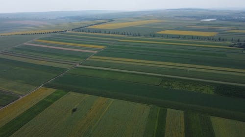 有关农场土地, 向日葵田, 空中镜头的免费素材视频