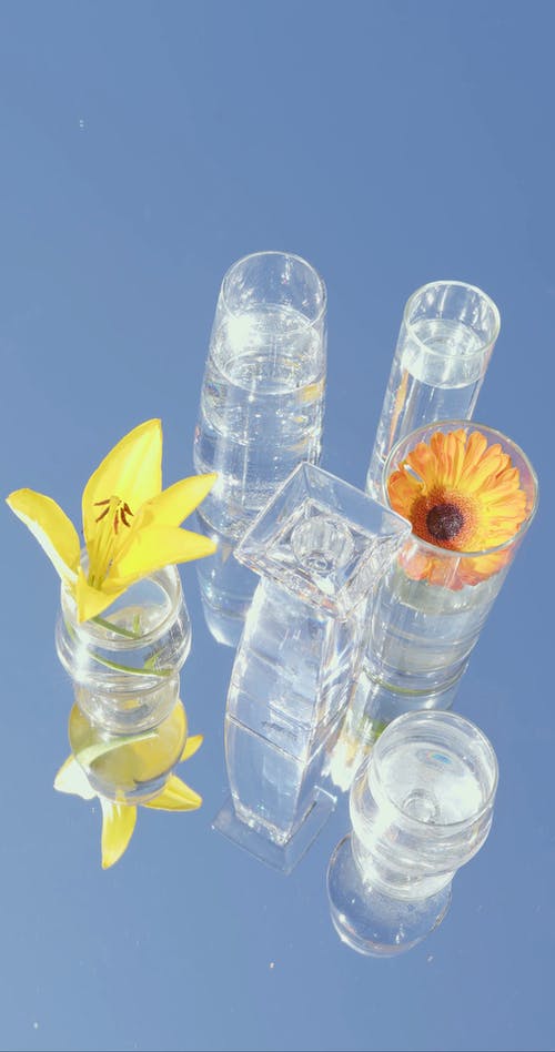 有关垂直视频, 把, 水的免费素材视频