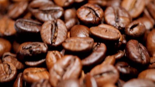 有关咖啡, 咖啡豆, 烤的免费素材视频