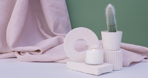 有关仙人掌,工作室拍摄,工厂的免费素材视频