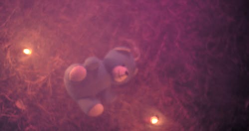 有关在地上, 泰迪熊, 烛光的免费素材视频