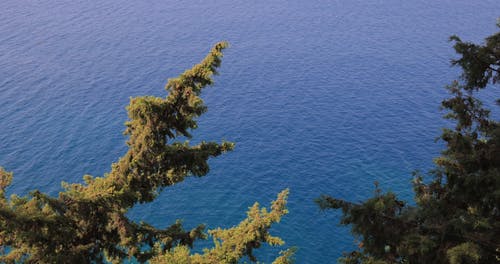 有关和平的, 夏天, 天性的免费素材视频