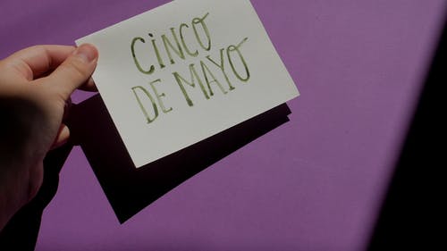 有关cinco de mayo, 仙人掌, 墨西哥的免费素材视频
