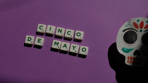 有关cinco de mayo, 仙人掌, 庆祝的免费素材视频