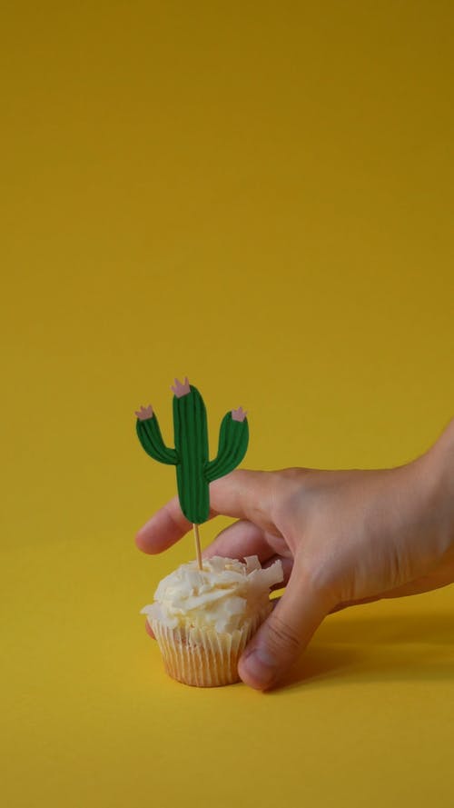 有关cinco de mayo, 一起, 仙人掌的免费素材视频