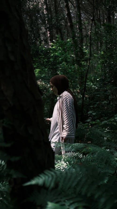 有关垂直视频, 女人, 森林的免费素材视频