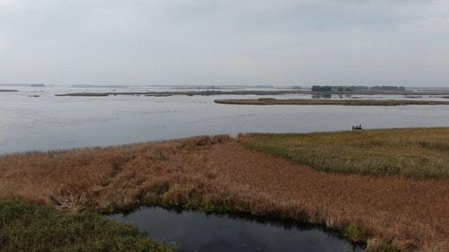 有关天性,性质,景观的免费素材视频