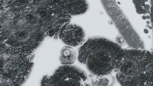 有关冬季, 冷, 冷冻的免费素材视频