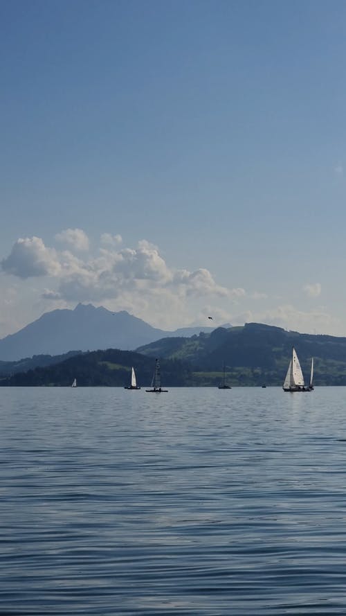 有关垂直视频, 帆船, 水上技能的免费素材视频