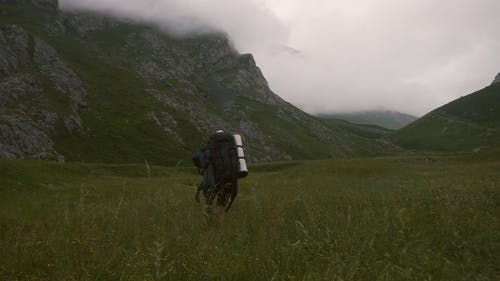 有关冒险, 天性, 小路的免费素材视频