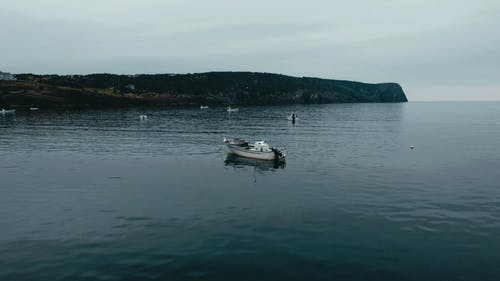 有关停泊, 平静的水, 汽艇的免费素材视频
