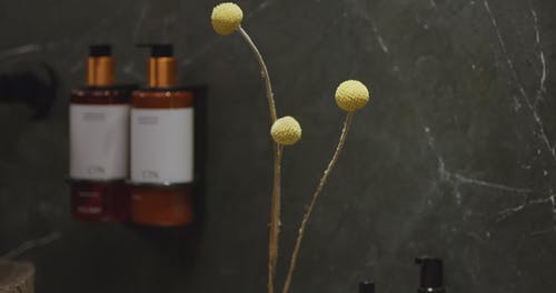 有关去除, 手, 手链的免费素材视频