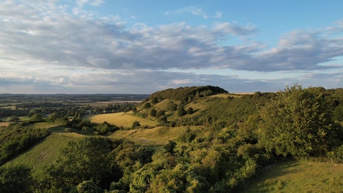 有关增长,大,天性的免费素材视频
