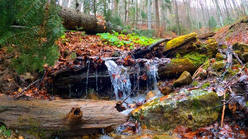 有关天性, 户外, 摇滚的免费素材视频