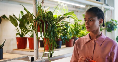 有关人, 接触, 植物的免费素材视频