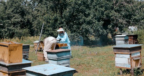 有关养蜂人套装, 工作的, 户外的免费素材视频