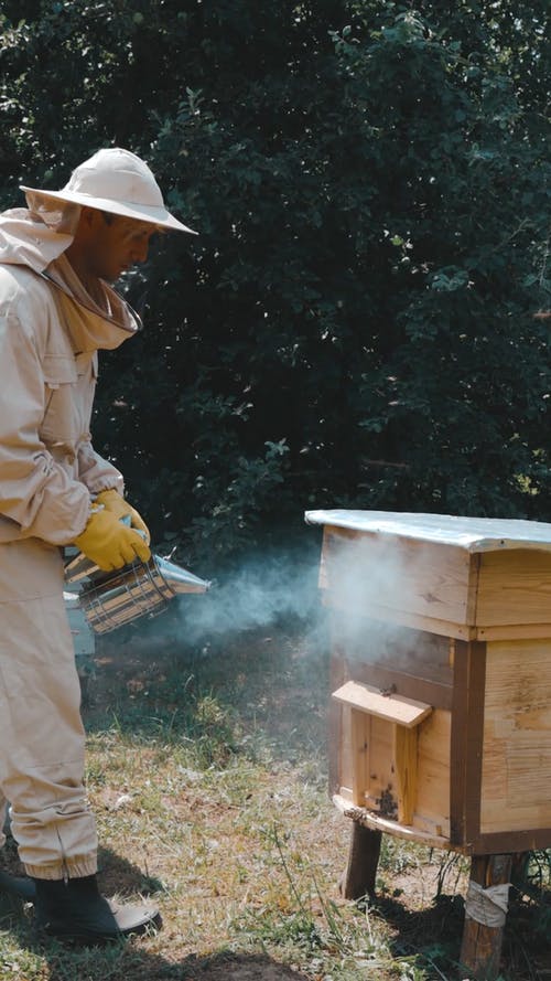 有关养蜂人, 养蜂人套装, 养蜂场的免费素材视频