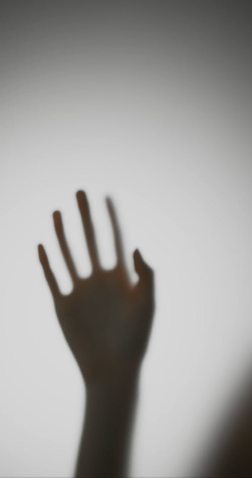 有关光与影, 剪影, 半透明的免费素材视频