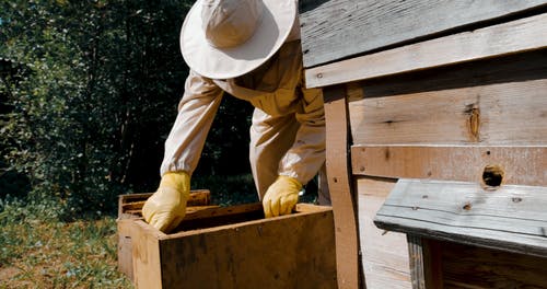有关养蜂人, 养蜂家, 工作手套的免费素材视频