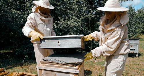 有关养蜂人套装, 养蜂场, 工作的的免费素材视频